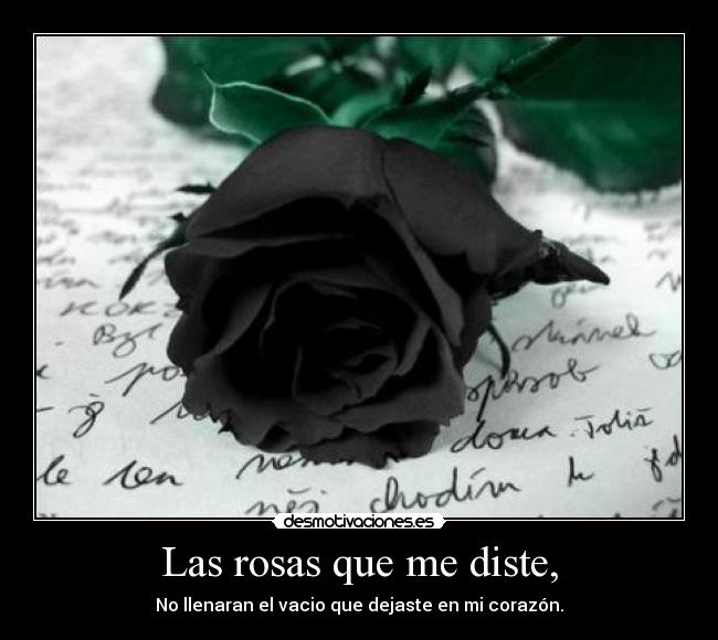 Las rosas que me diste, -