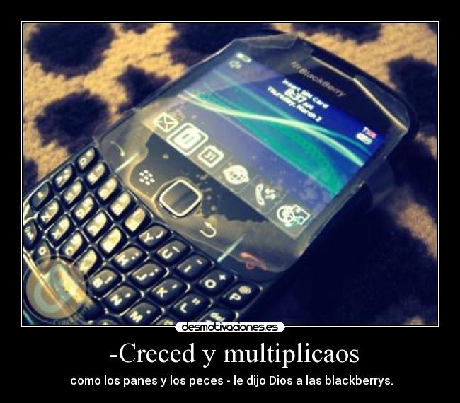  -Creced y multiplicaos -  como los panes y los peces - le dijo Dios a las blackberrys.