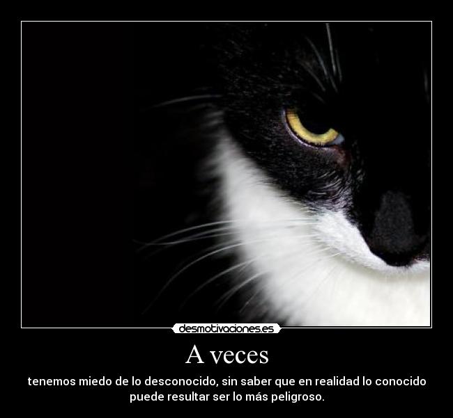 A veces - tenemos miedo de lo desconocido, sin saber que en realidad lo conocido
puede resultar ser lo más peligroso.