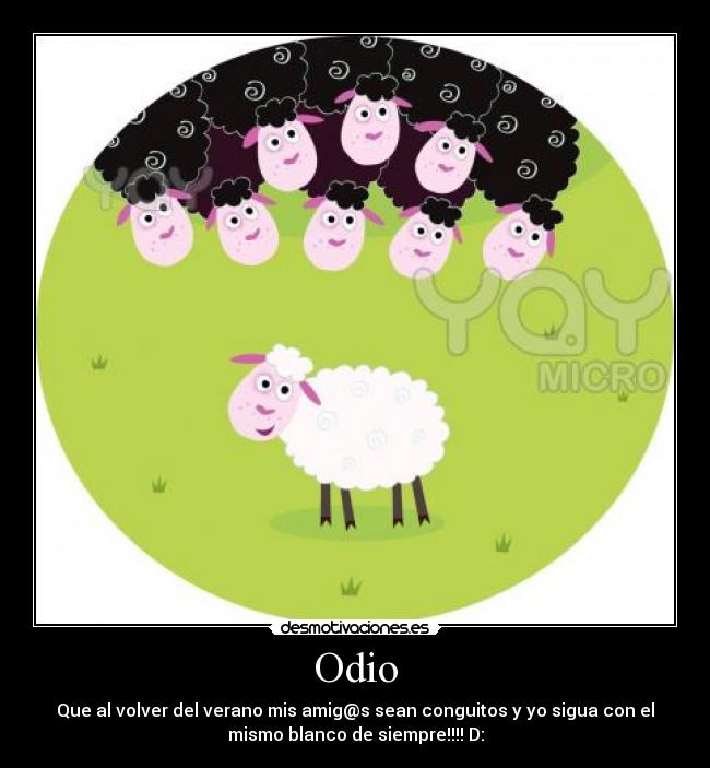 Odio - 