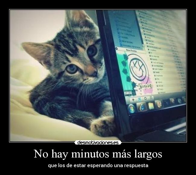 No hay minutos más largos - que los de estar esperando una respuesta