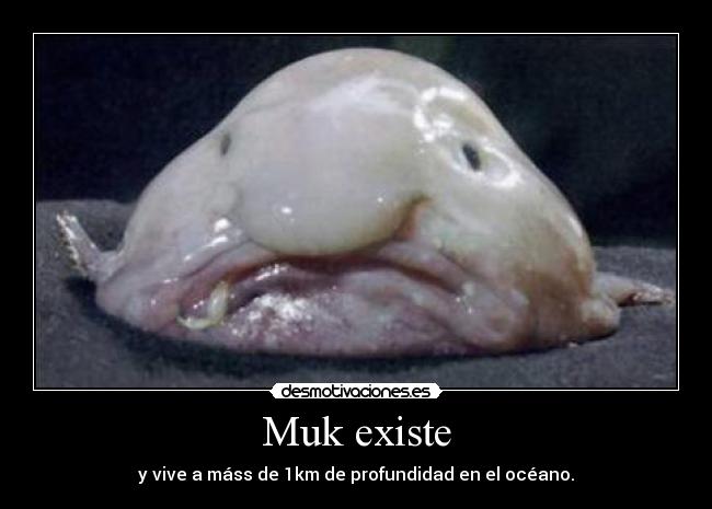 Muk existe - y vive a máss de 1km de profundidad en el océano.