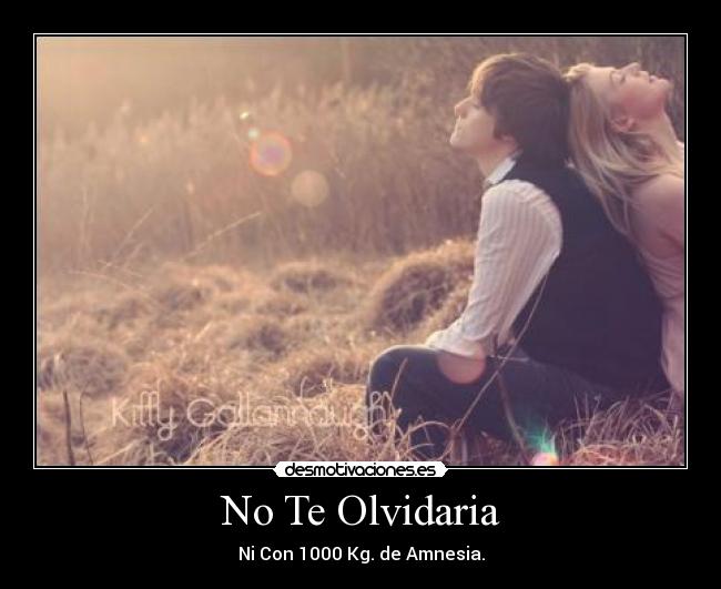 carteles amnesiakilosolvidariaolvidar desmotivaciones