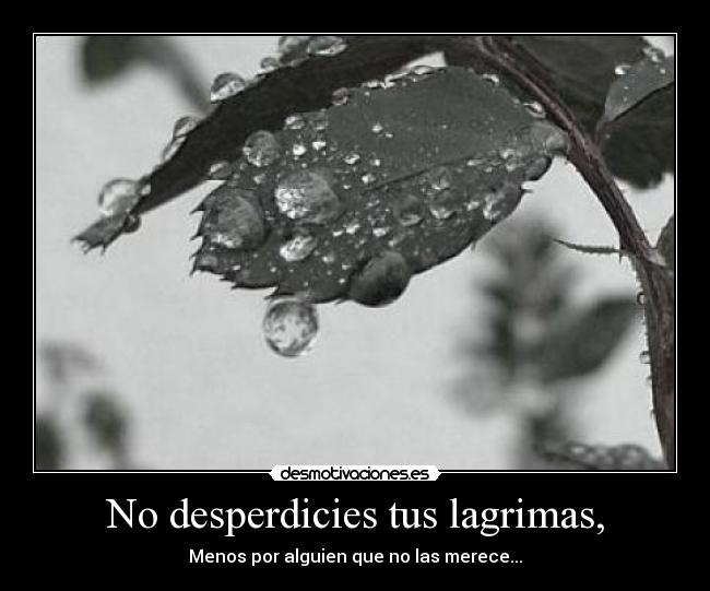 No desperdicies tus lagrimas, - Menos por alguien que no las merece...