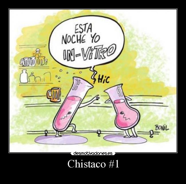 Chistaco #1 -