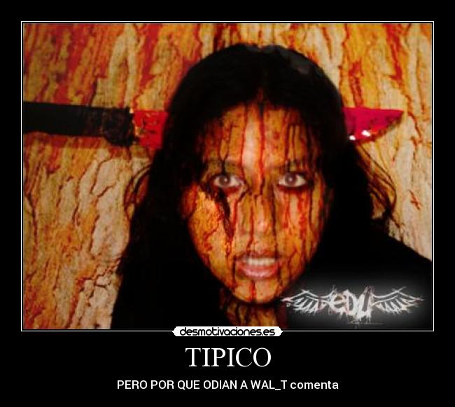 TIPICO - PERO POR QUE ODIAN A WAL_T comenta