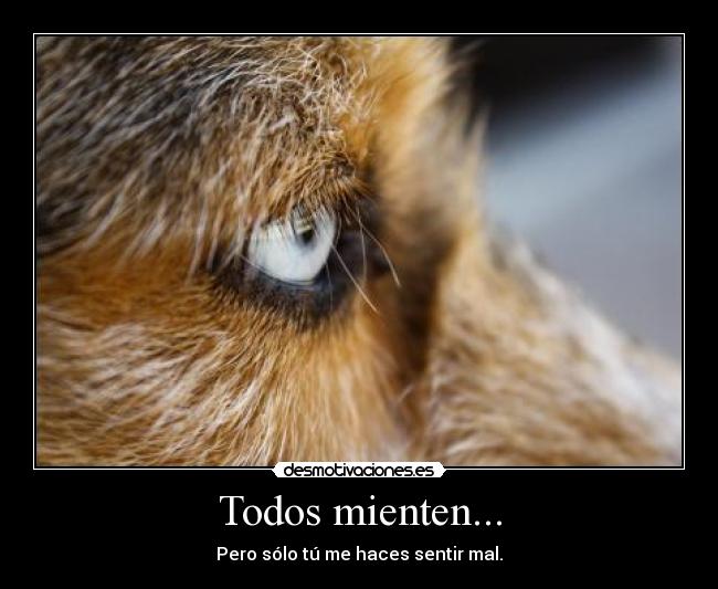 carteles bulma272 forodesm desmotivaciones