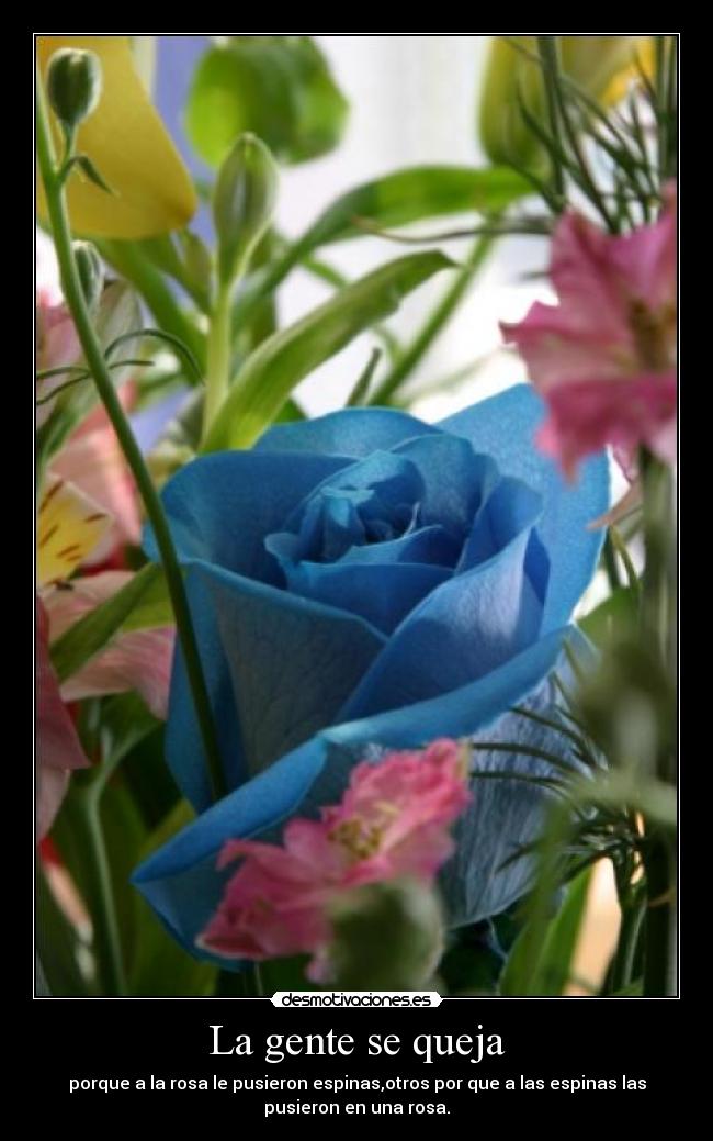 La gente se queja - porque a la rosa le pusieron espinas,otros por que a las espinas las
pusieron en una rosa.