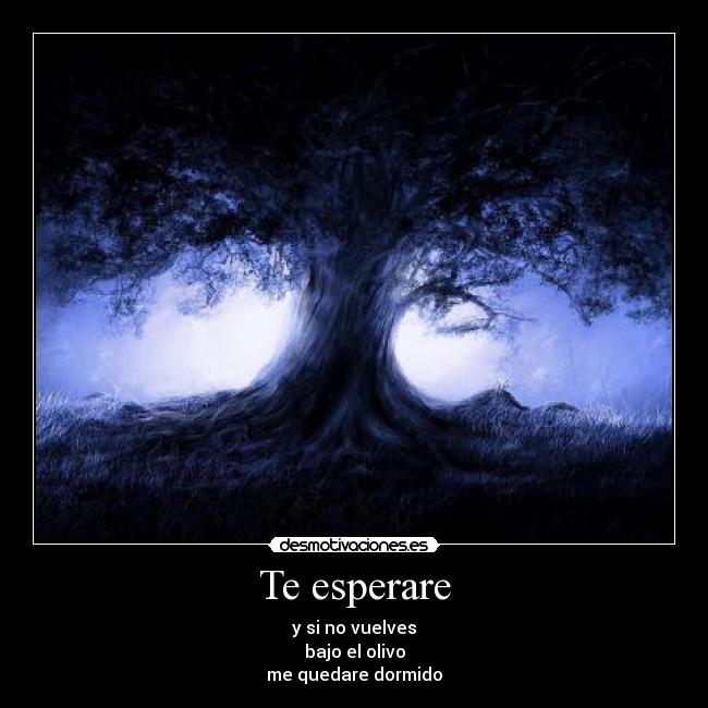 Te esperare - 