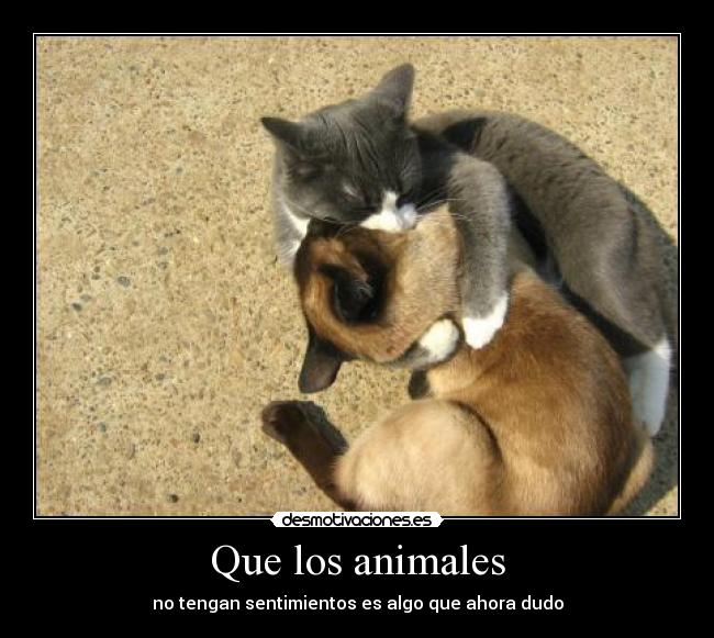 Que los animales -