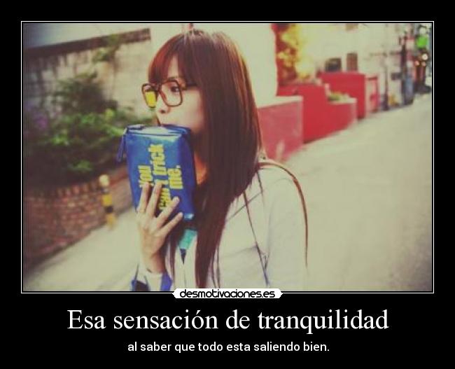 Esa sensación de tranquilidad - al saber que todo esta saliendo bien.