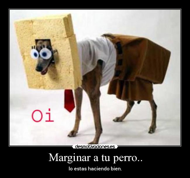 Marginar a tu perro.. - 