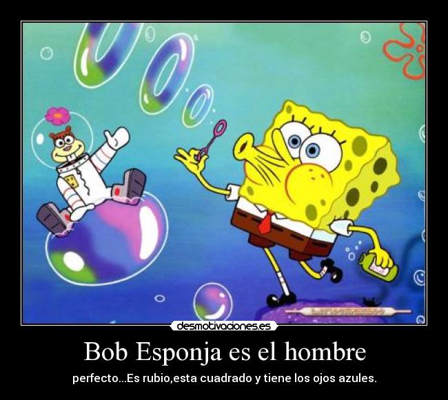 Bob Esponja es el hombre - 