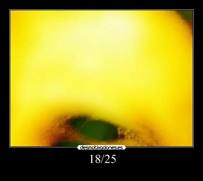 18/25 - 