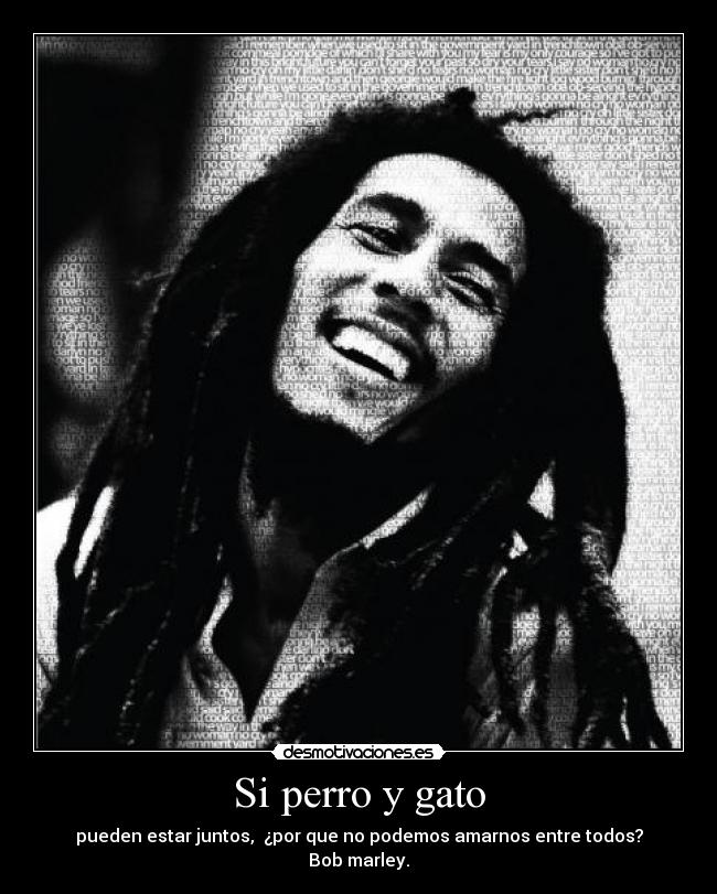 Si perro y gato - 