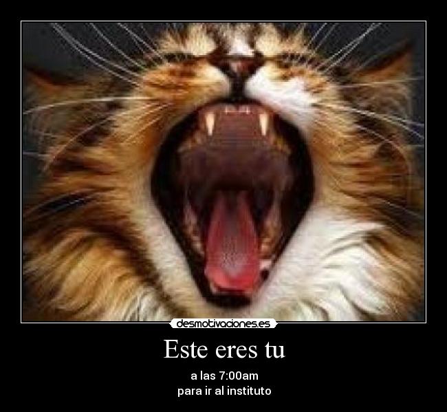 Este eres tu - a las 7:00am
para ir al instituto