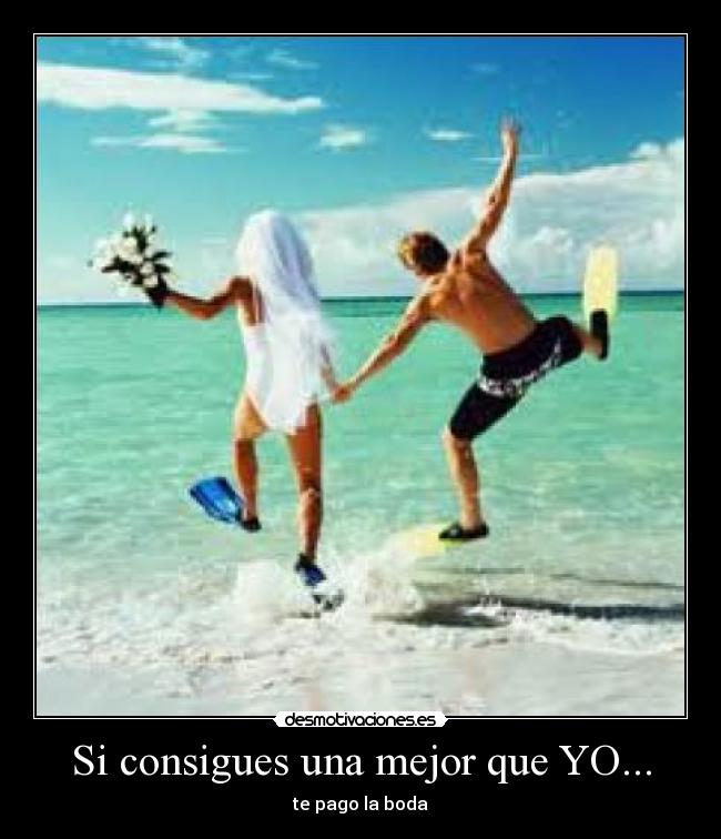 carteles toutou desmotivaciones