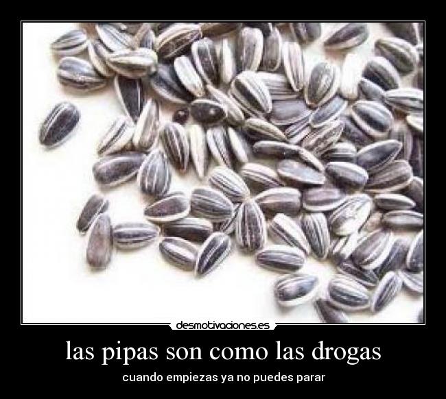 las pipas son como las drogas - cuando empiezas ya no puedes parar