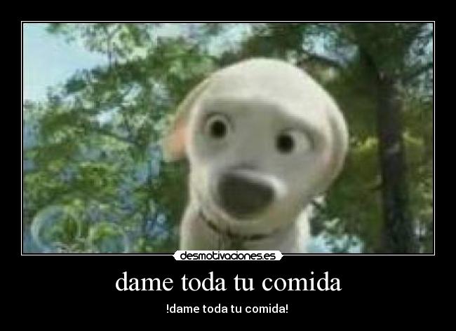 carteles comida bolt desmotivaciones