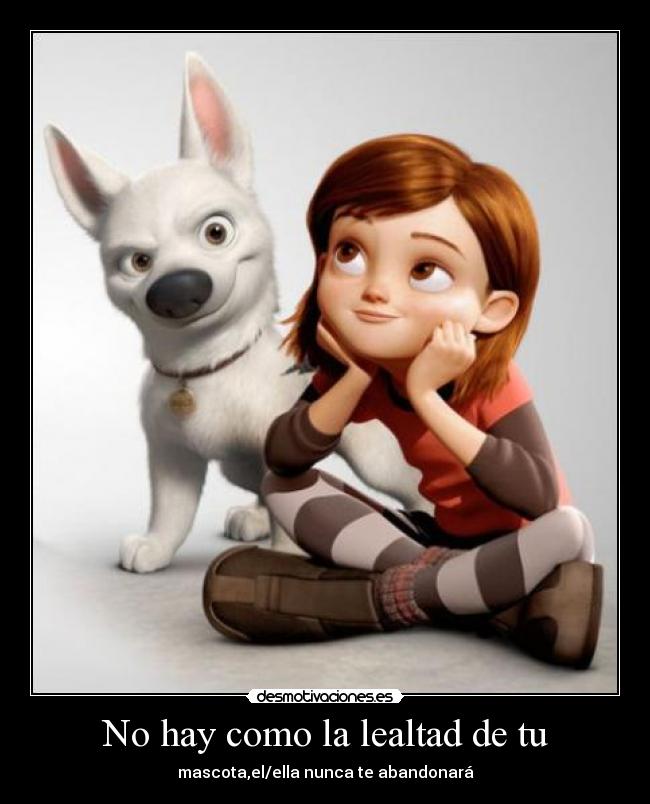 No hay como la lealtad de tu - 