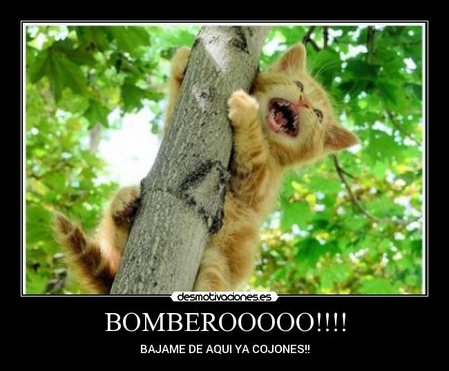 BOMBEROOOOO!!!! -