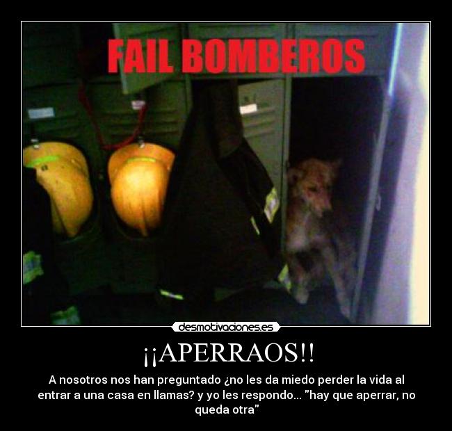carteles bomberos fail perro casillero desmotivaciones