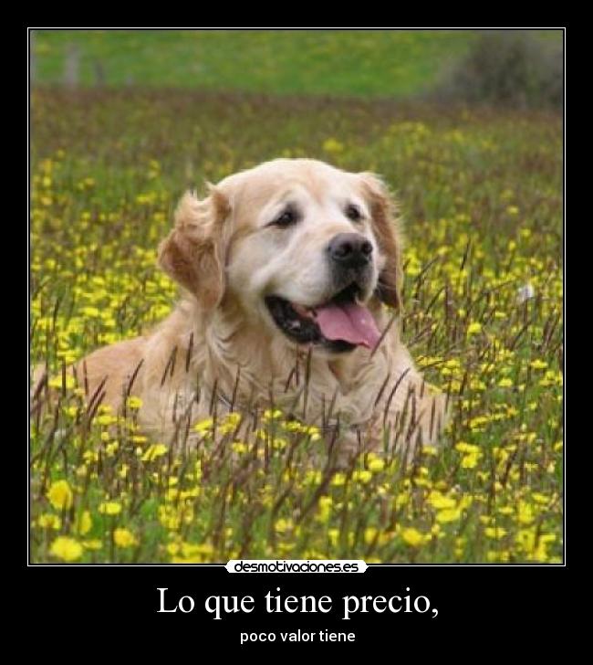 Lo que tiene precio, - 