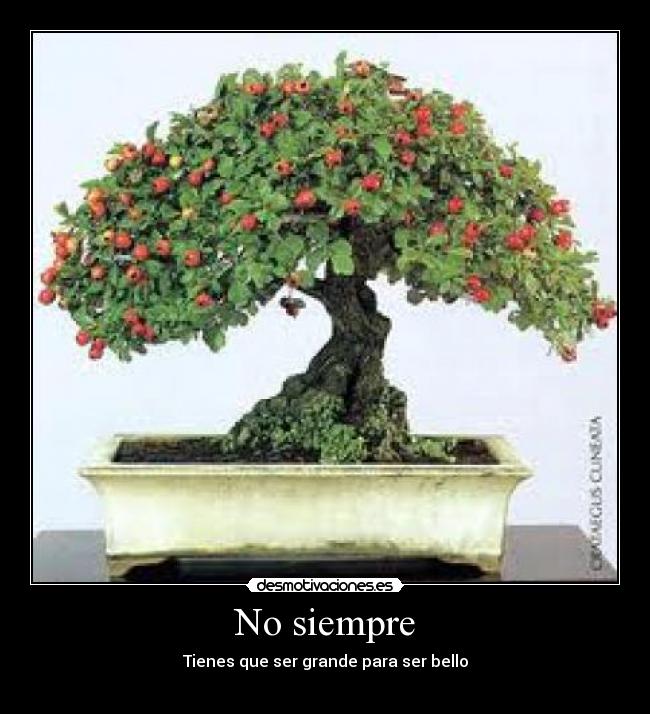No siempre -