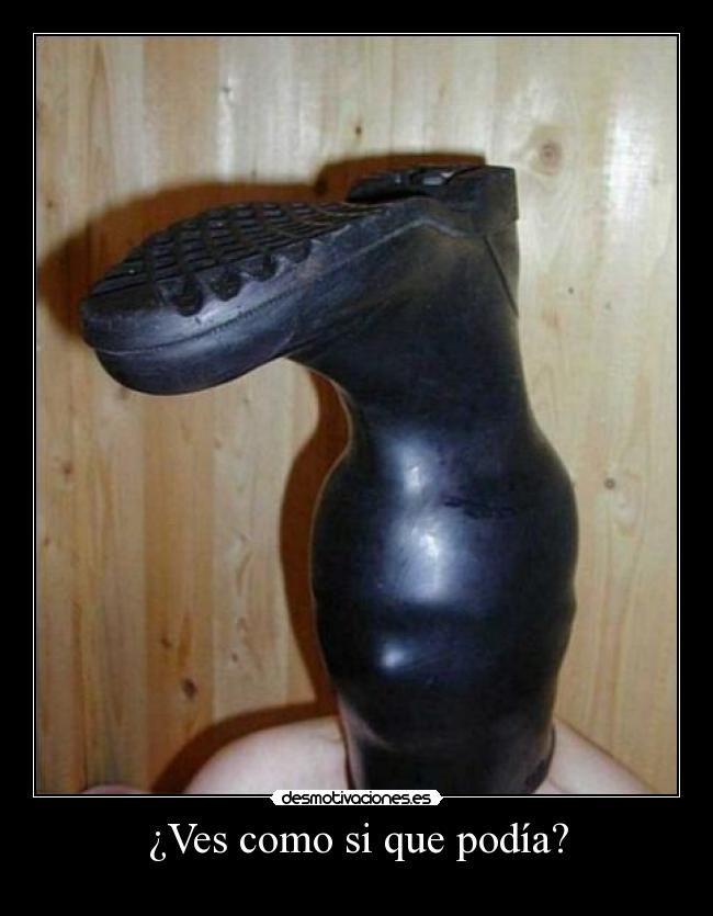 ¿Ves como si que podía? -