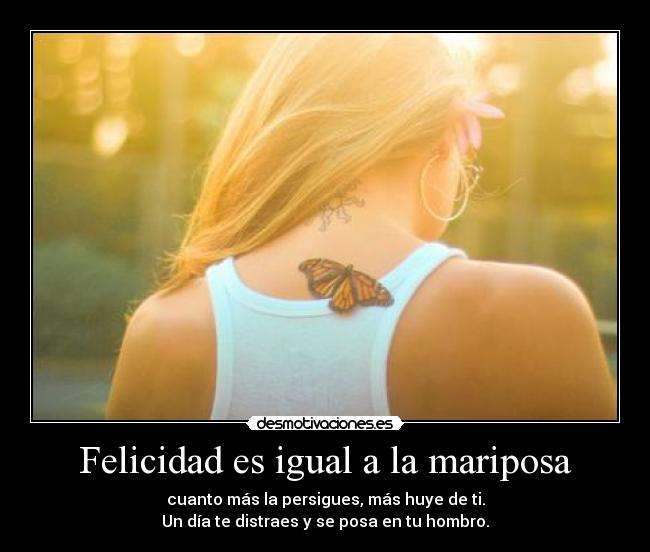 carteles felicidad felicidad mariposa desmotivaciones