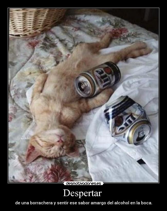 Despertar - de una borrachera y sentir ese sabor amargo del alcohol en la boca.
