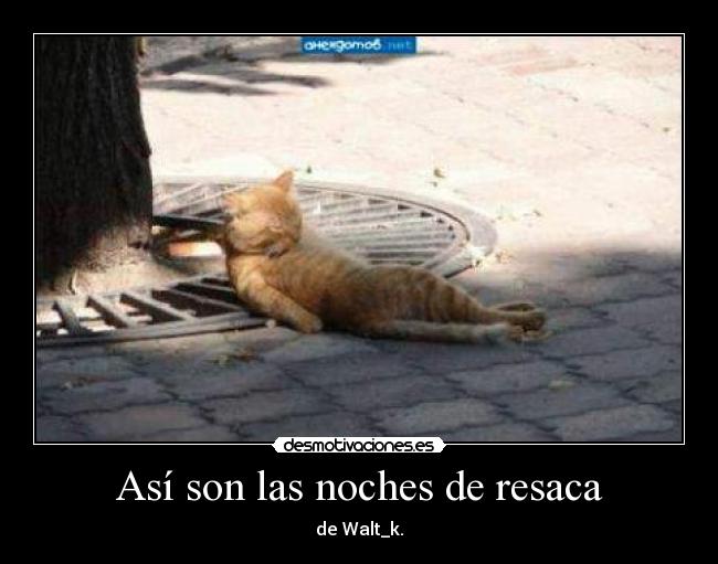 Así son las noches de resaca -