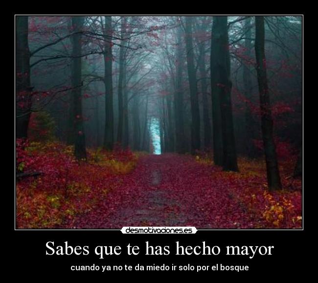 Sabes que te has hecho mayor -