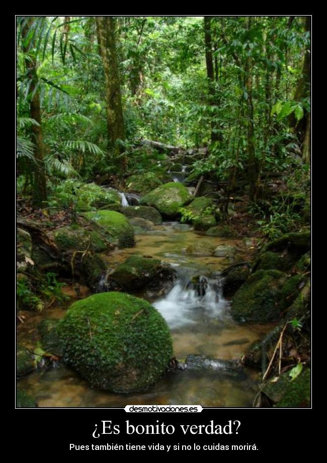 ¿Es bonito verdad? -