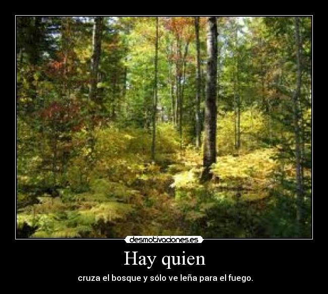 Hay quien - cruza el bosque y sólo ve leña para el fuego.