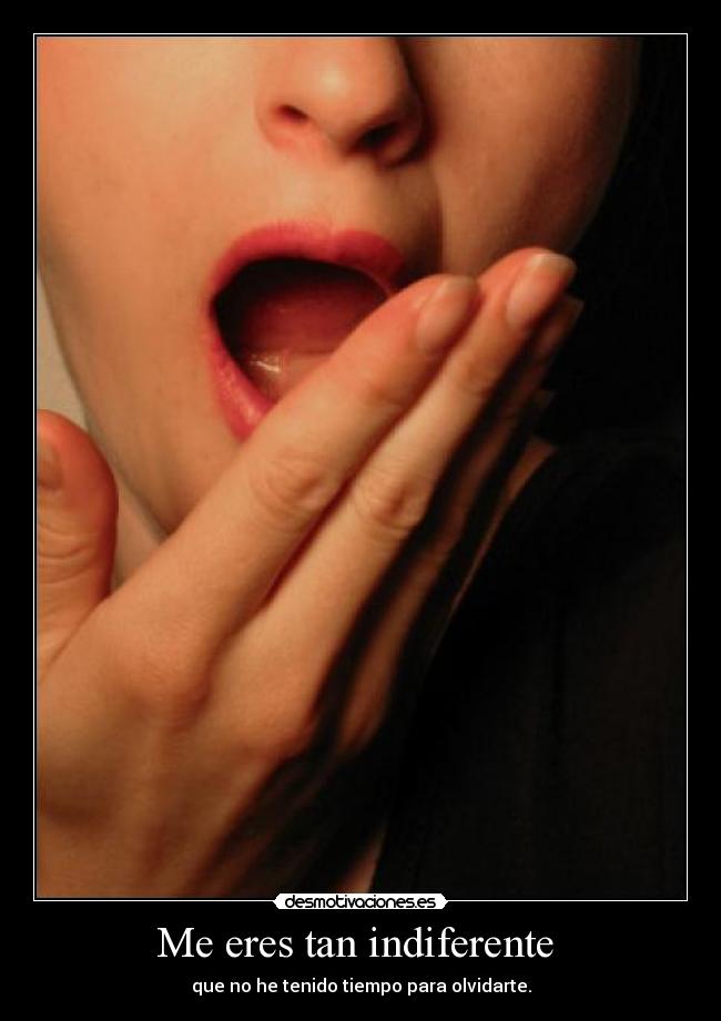Me eres tan indiferente  - que no he tenido tiempo para olvidarte.