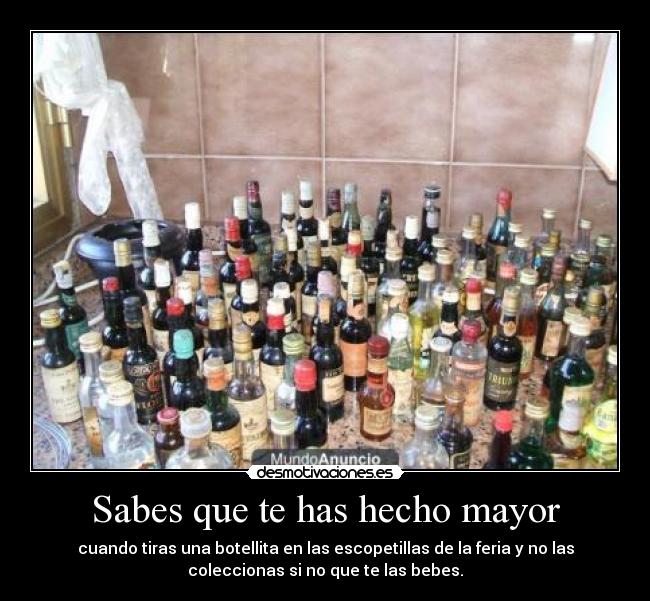 carteles alcohol megustaanal zorra puta desmotivaciones