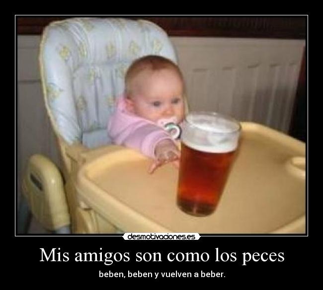 Mis amigos son como los peces - beben, beben y vuelven a beber.