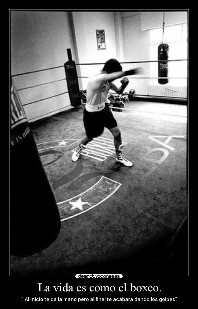 La vida es como el boxeo. -