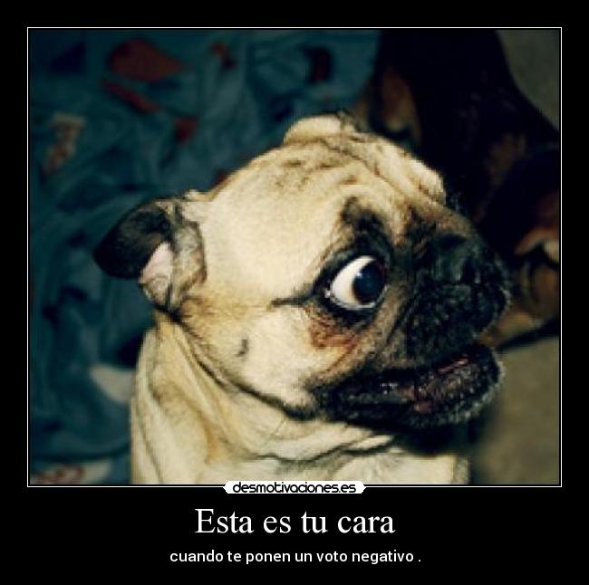 Esta es tu cara - cuando te ponen un voto negativo .