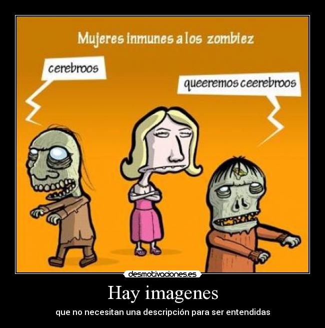 Hay imagenes -