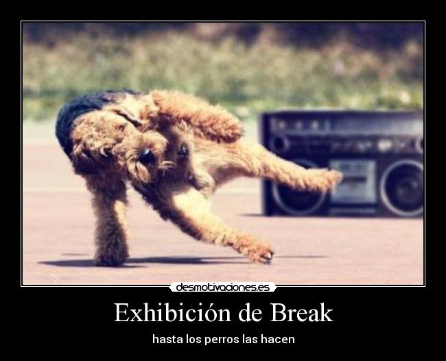 Exhibición de Break - hasta los perros las hacen