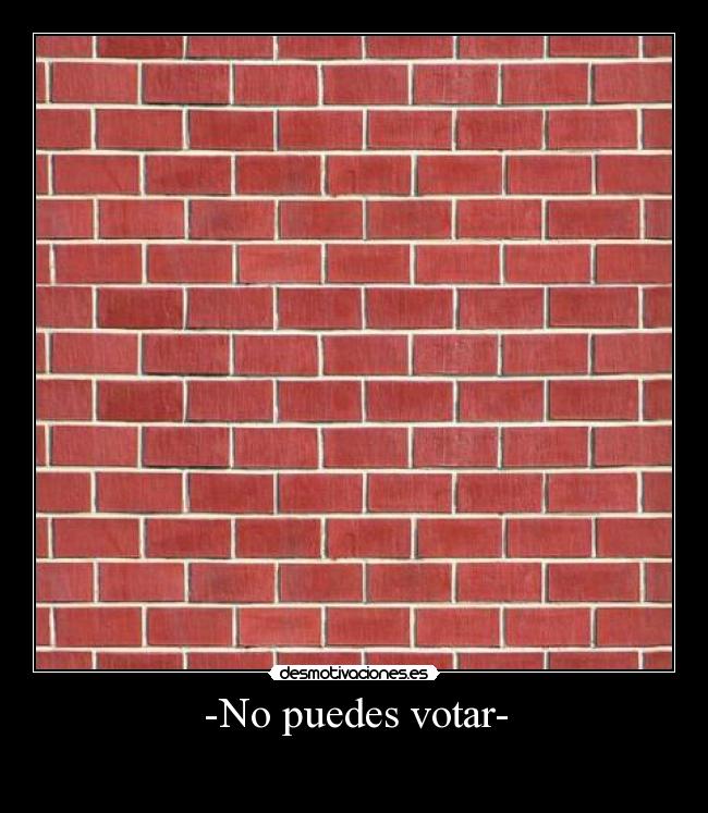 -No puedes votar- -
