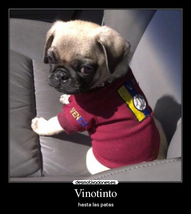 Vinotinto -