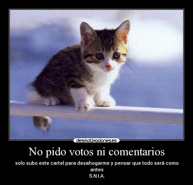 No pido votos ni comentarios -