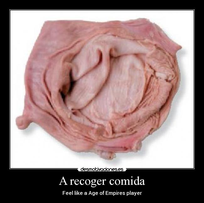 carteles comida vfdsvs desmotivaciones