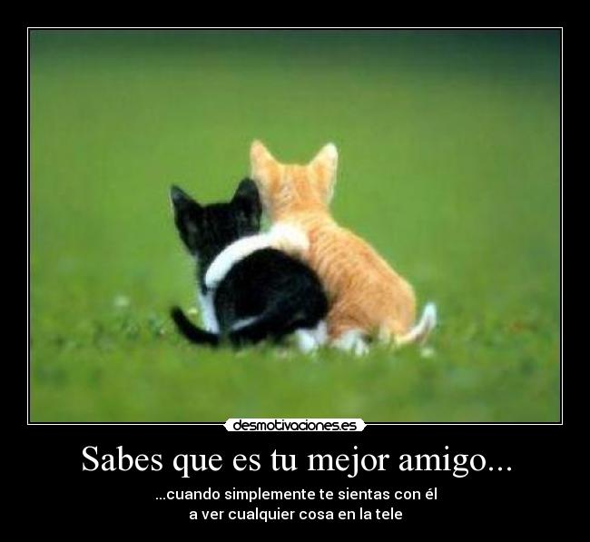 Sabes que es tu mejor amigo... -