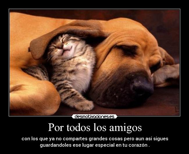 Por todos los amigos - 