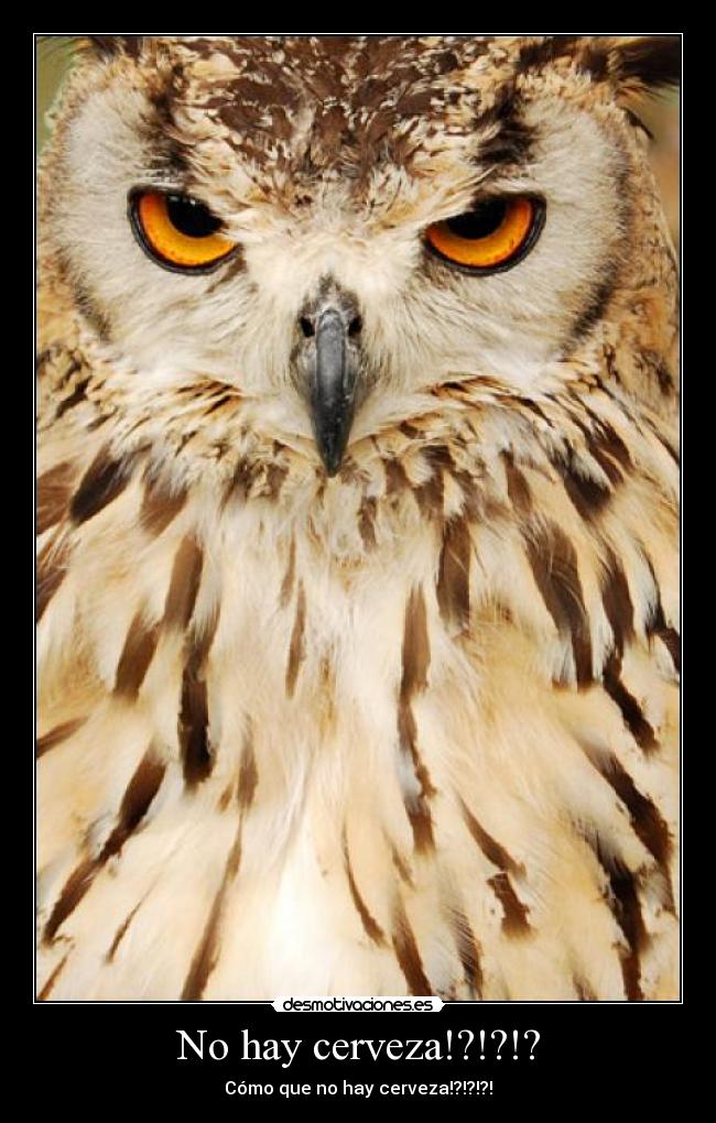 No hay cerveza!?!?!? - 