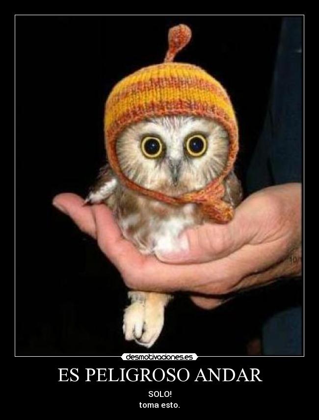 carteles pokemon zelda buho desmotivaciones